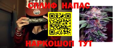 apvp Будённовск