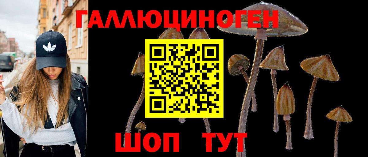 Бирск  Псилоцибиновые грибы Psilocybe  Псилоцибиновые грибы Psilocybine cubensis  Вход с VPN 